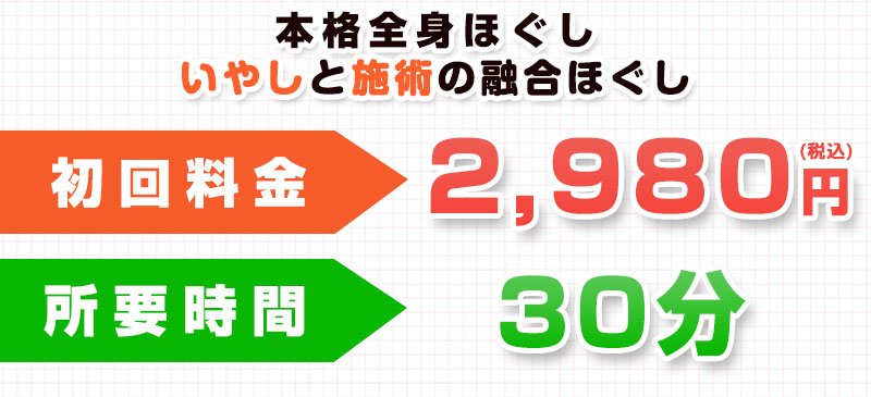 本格ほぐしオファー：2,980円